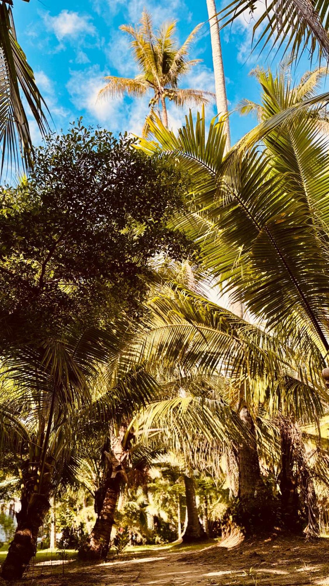 Suan Maprao Ko Kut Resort Εξωτερικό φωτογραφία