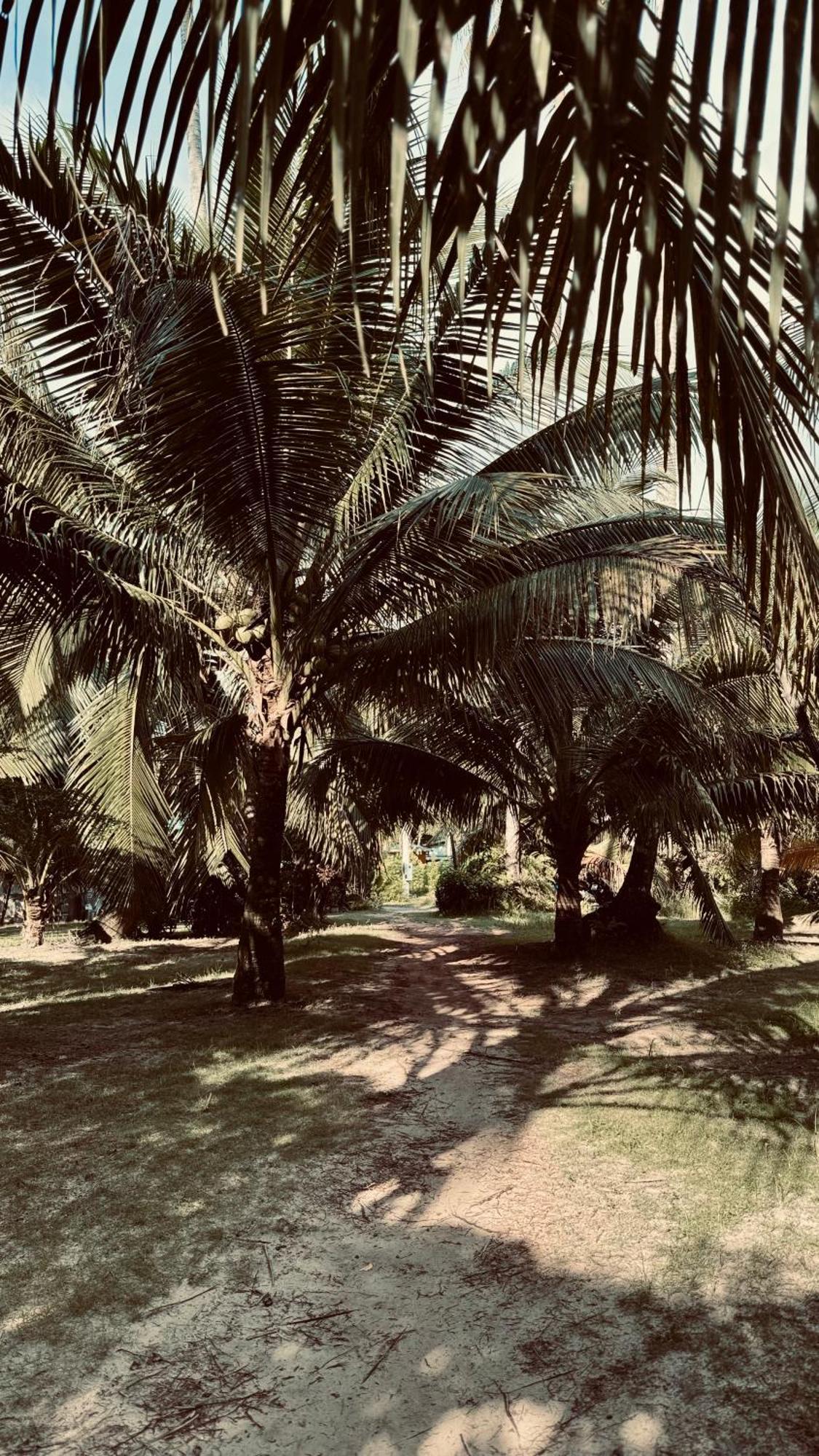 Suan Maprao Ko Kut Resort Εξωτερικό φωτογραφία